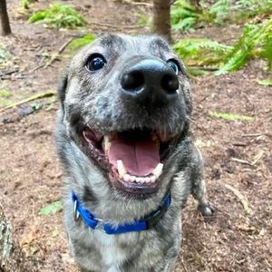 Meet your Posher, Gabe